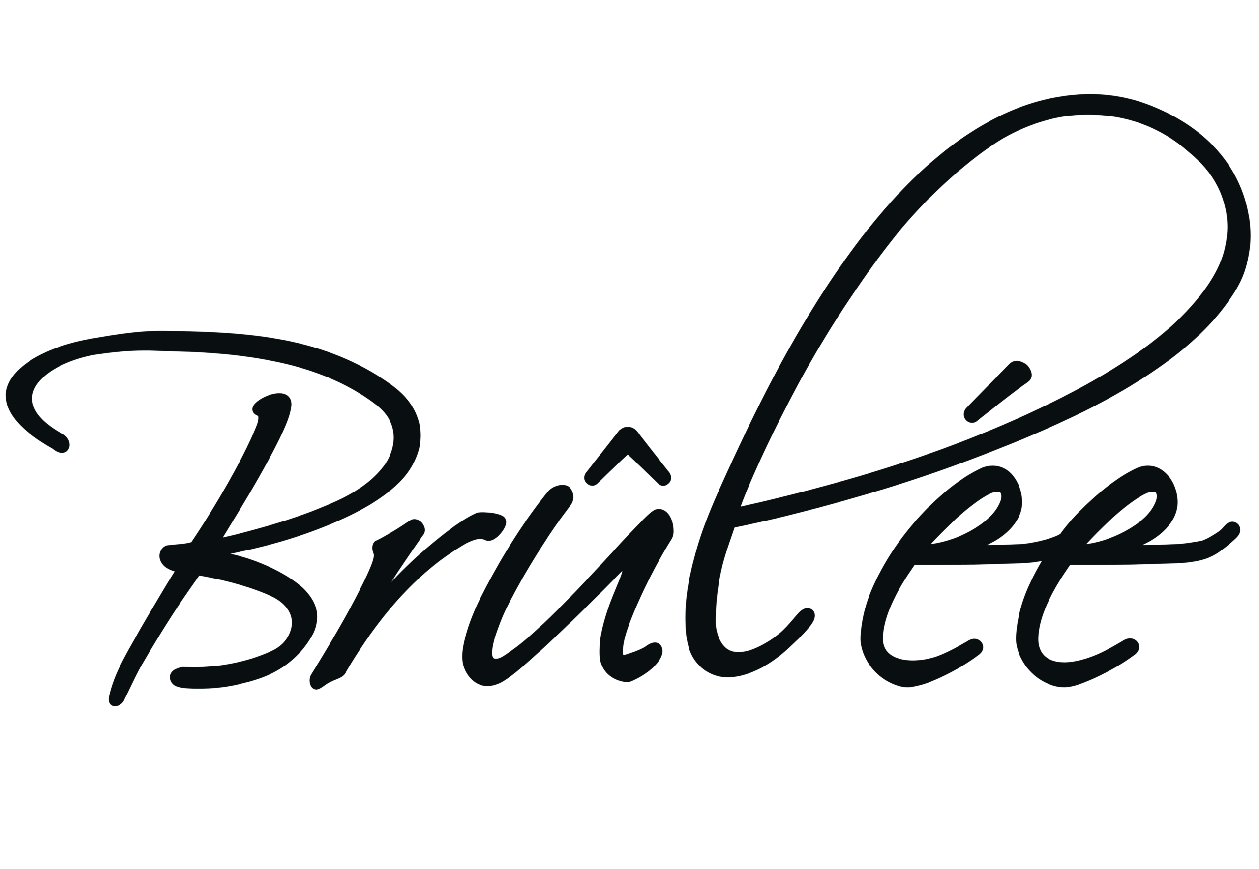 BRULEE LOGO 2025.pdf (3)